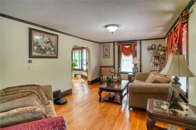 living room with crown molding, a textured ceiling, and light wood-type flooring