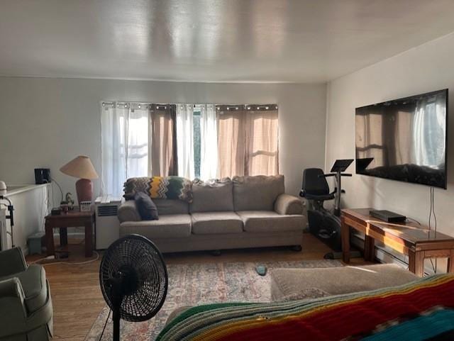 living room with hardwood / wood-style floors and a healthy amount of sunlight