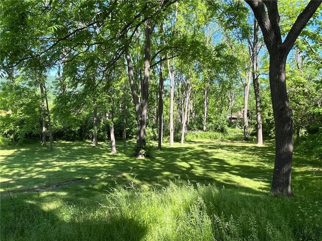 79 Powder House Rd, Amenia, NY 12501 - view of grassy yard