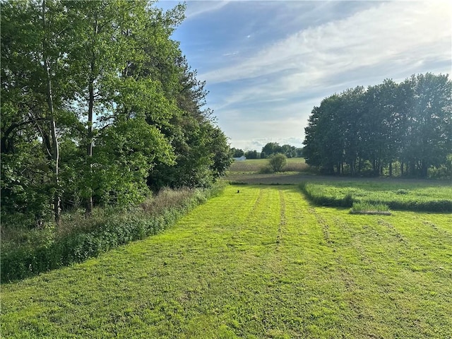 view of yard with a rural view