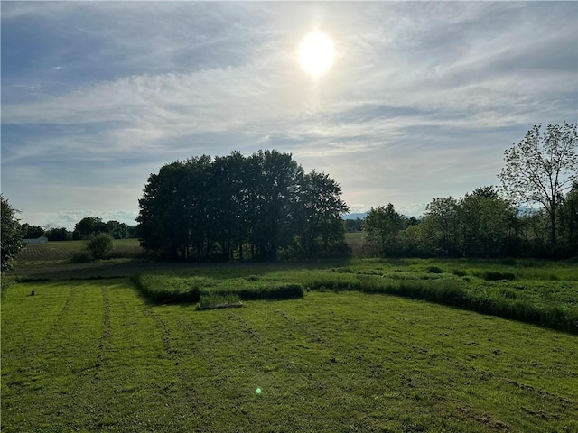 view of yard featuring a rural view