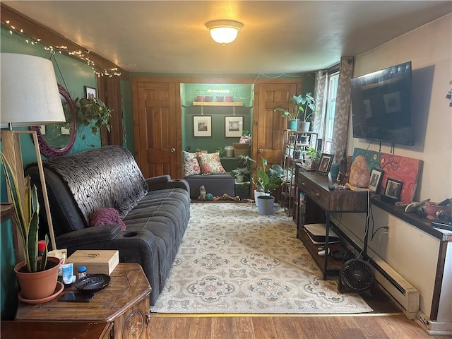 living room featuring wood-type flooring