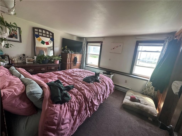 bedroom with baseboard heating, multiple windows, and carpet floors