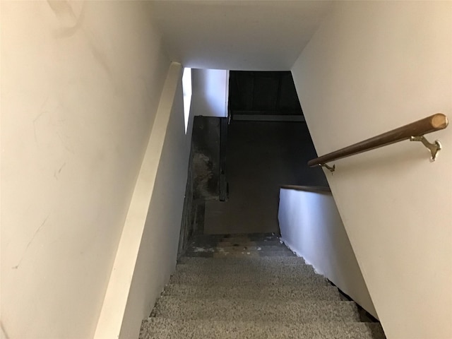 stairs with carpet