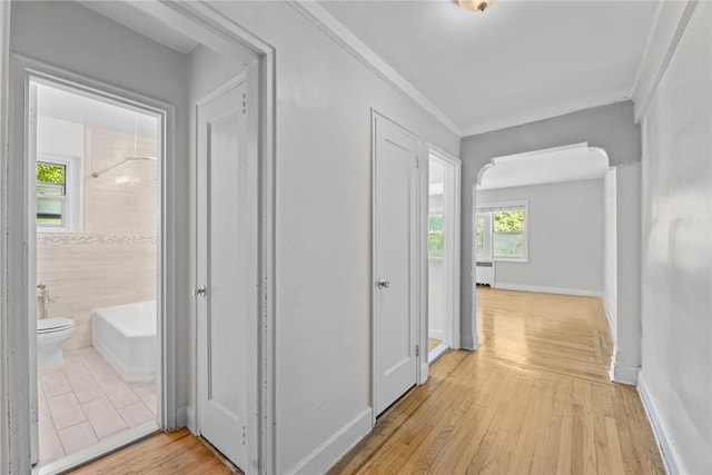 corridor featuring light wood-type flooring and ornamental molding