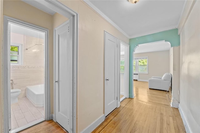 corridor featuring light wood-type flooring, radiator, crown molding, and tile walls