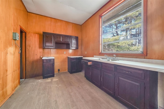 kitchen with light wood-type flooring, sink, and wooden walls