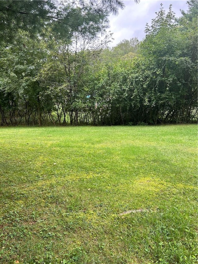 110 Foss Ln, Huguenot, NY 12746 - view of grassy yard featuring a view of trees