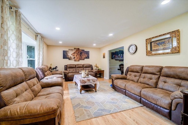 living room featuring light hardwood / wood-style flooring