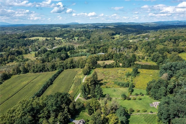 bird's eye view featuring a rural view