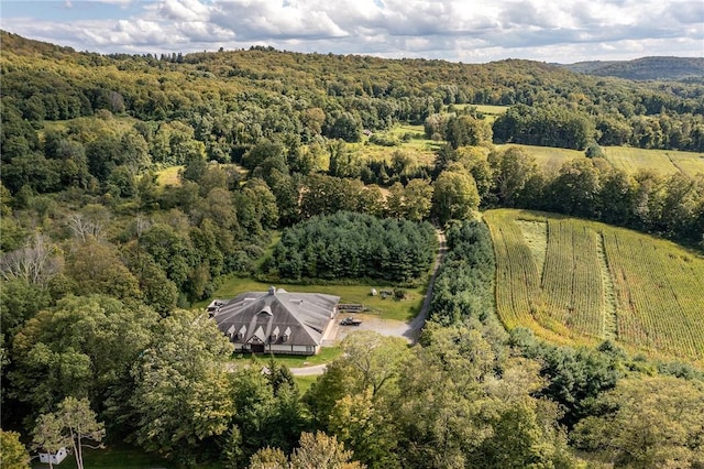 drone / aerial view with a rural view