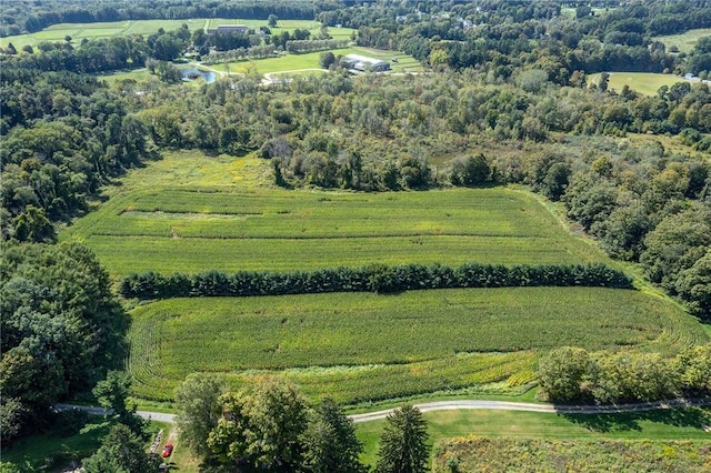 drone / aerial view featuring a rural view