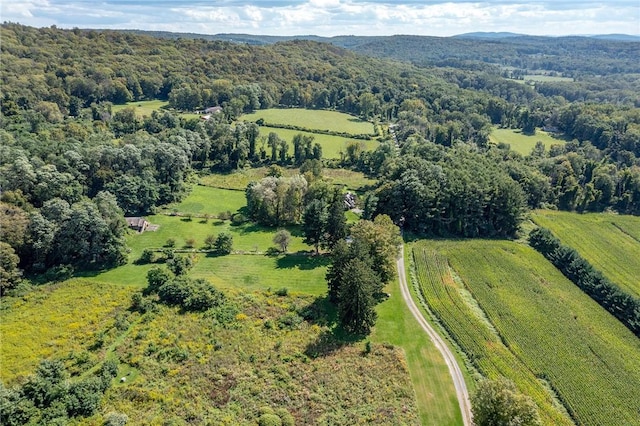 bird's eye view featuring a rural view