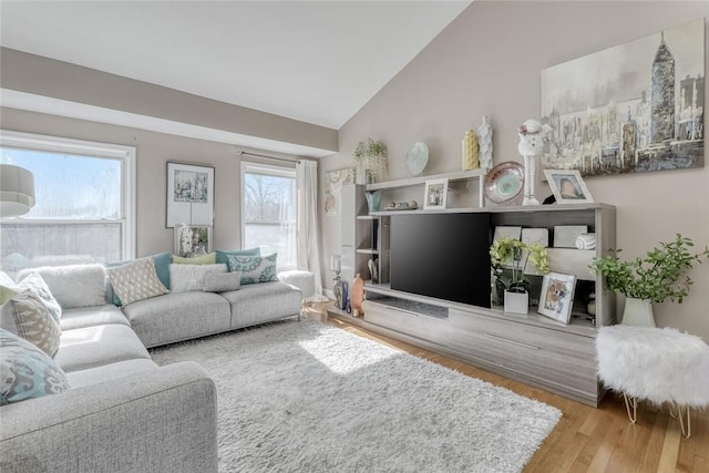 living room featuring hardwood / wood-style floors, high vaulted ceiling, and a wealth of natural light