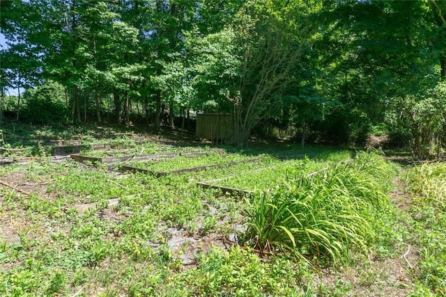 721 County Rte 7, Pine Plains, NY 12567 - view of yard featuring a vegetable garden