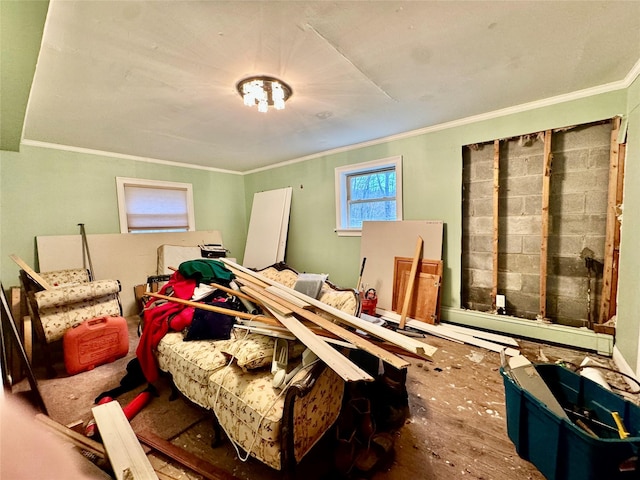 misc room featuring ornamental molding