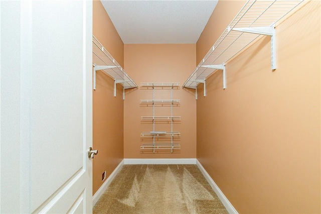 spacious closet with carpet flooring