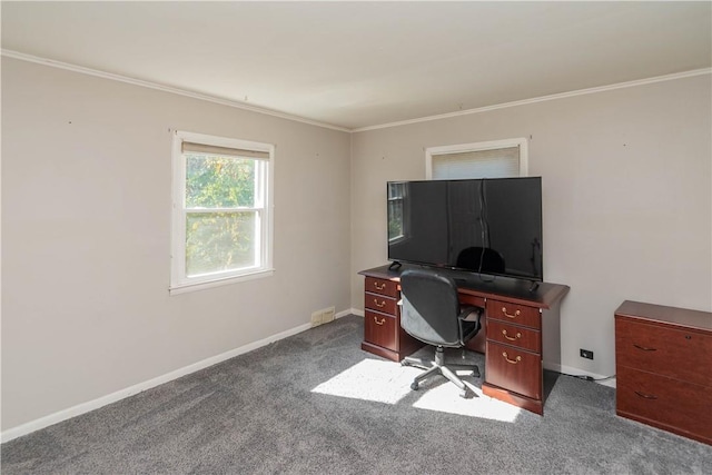 carpeted office space featuring crown molding