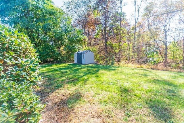 view of yard featuring a shed