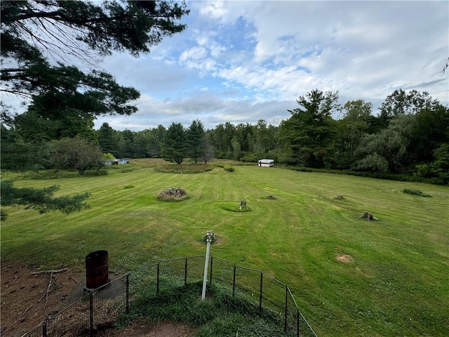 3038 State Route 17b, Cochecton, NY 12726 - view of yard