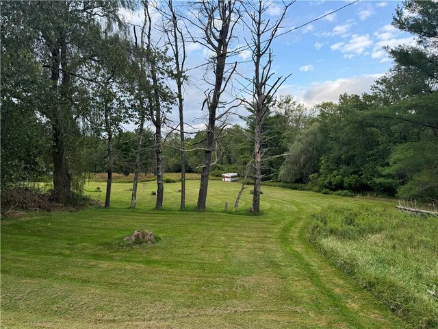 3038 State Route 17b, Cochecton, NY 12726 - view of grassy yard