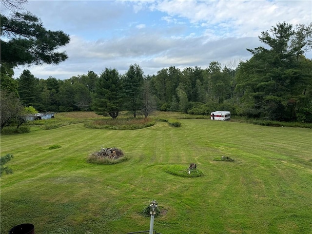 3038 State Route 17b, Cochecton, NY 12726 - view of grassy yard