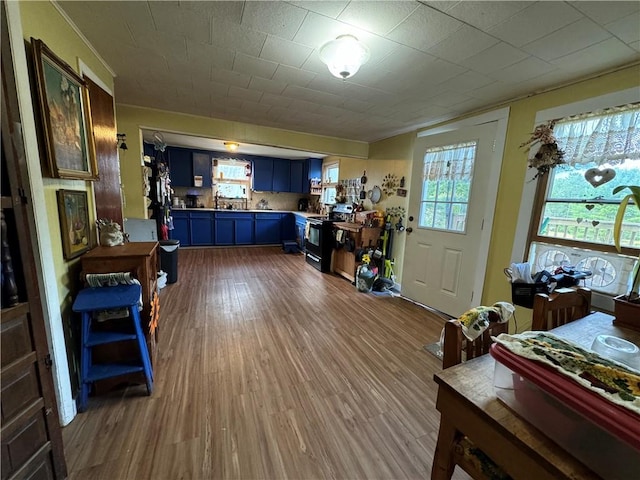 interior space featuring black electric range, light hardwood / wood-style flooring, and blue cabinets