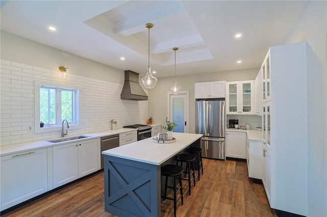 kitchen with white cabinets, sink, stainless steel appliances, and custom exhaust hood