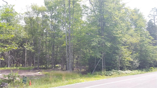 Listing photo 3 for State Route 42nd Hwy, Grahamsville NY 12740