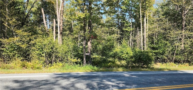 State Route 42nd Hwy, Grahamsville NY, 12740 land for sale