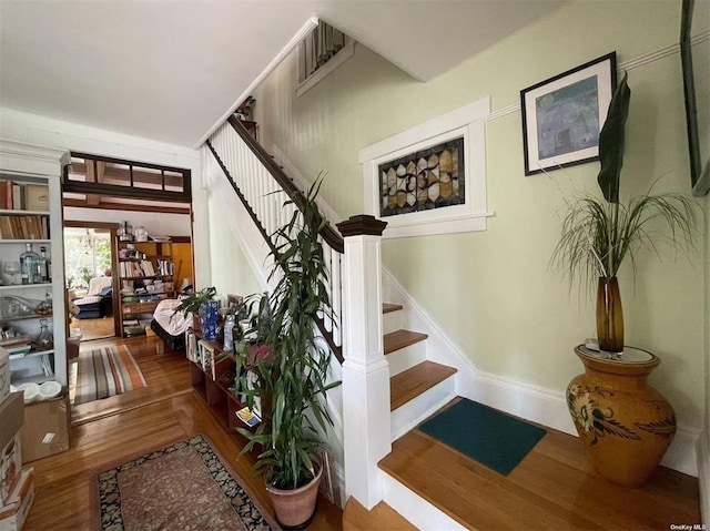 stairway with hardwood / wood-style flooring