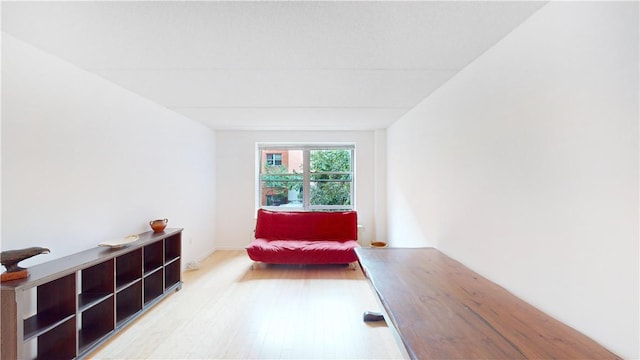 sitting room featuring light hardwood / wood-style flooring