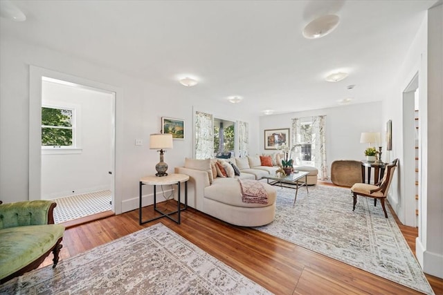 living room featuring hardwood / wood-style flooring