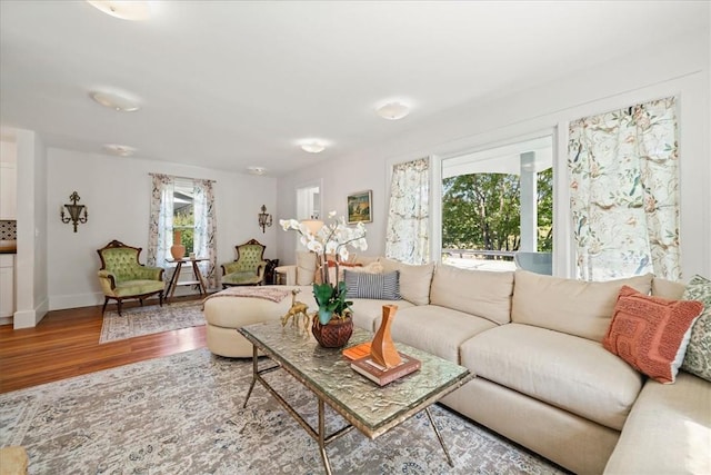 living room featuring hardwood / wood-style floors and a healthy amount of sunlight