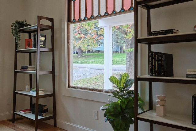 doorway with hardwood / wood-style floors and plenty of natural light