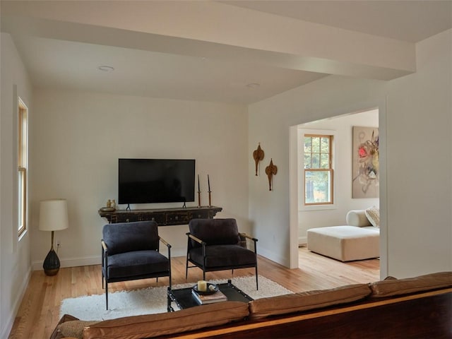 living room with light hardwood / wood-style flooring