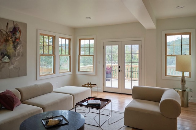 living room with french doors, light hardwood / wood-style floors, and a healthy amount of sunlight