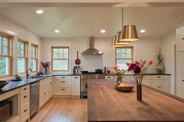 kitchen featuring a wealth of natural light, sink, wall chimney exhaust hood, and stainless steel appliances