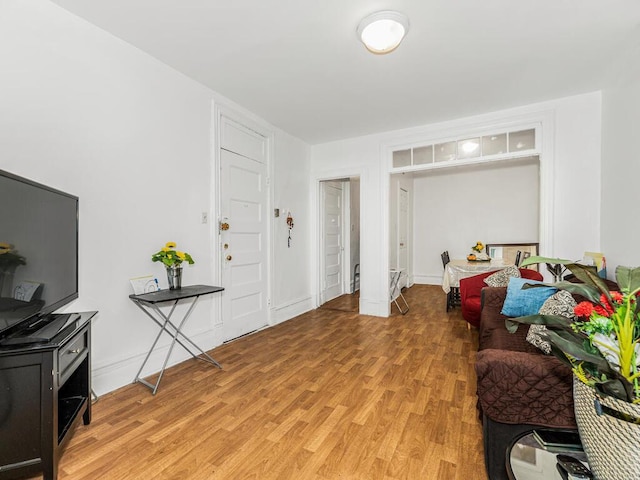 living room featuring light hardwood / wood-style floors