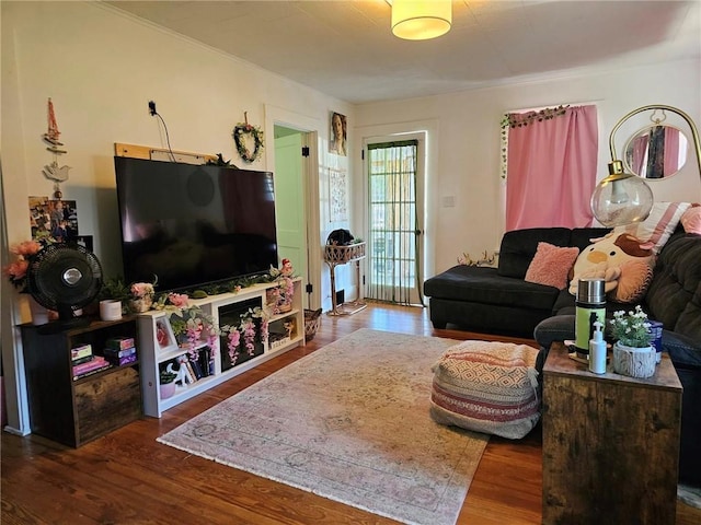 living room featuring hardwood / wood-style floors