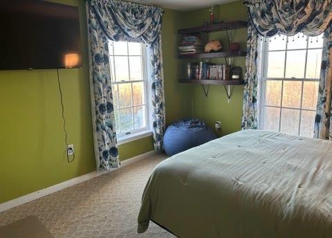 bedroom with multiple windows and carpet floors