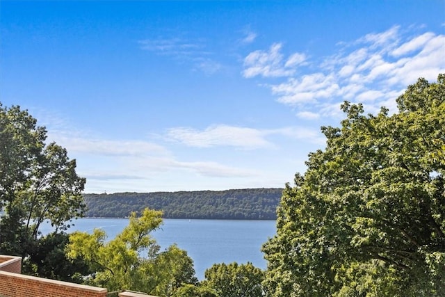 2575 Palisade Ave Unit 2J, Bronx, NY 10463 - water view with a forest