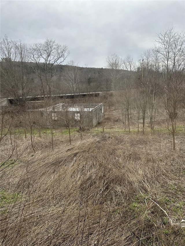 view of nature with a rural view