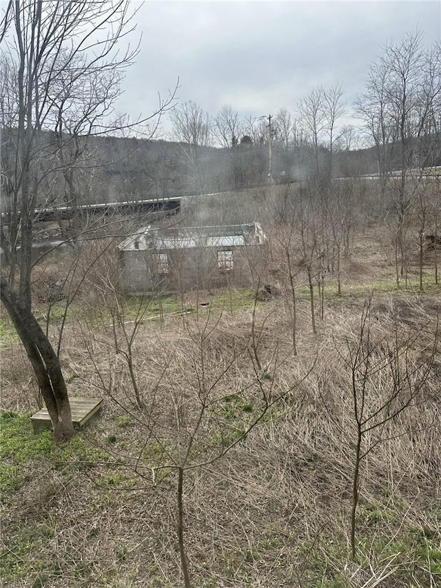 view of local wilderness featuring a rural view