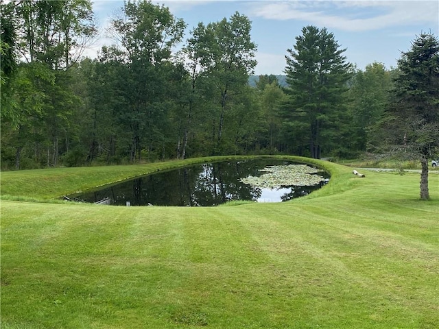 surrounding community featuring a water view and a lawn