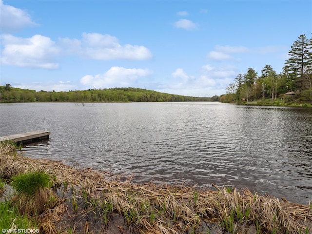 water view featuring a floating dock and a heavily wooded area