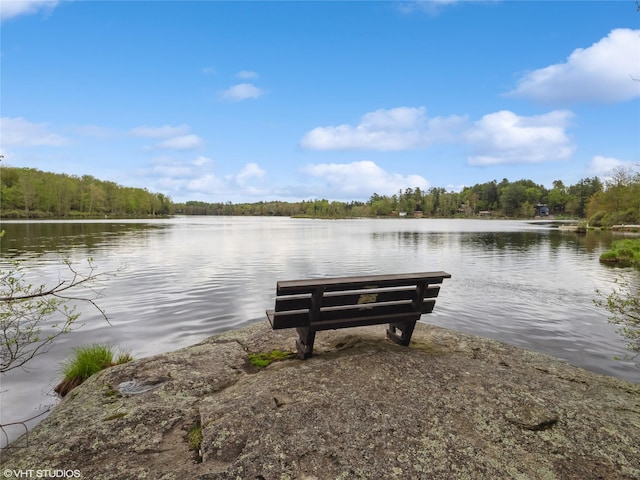 dock with a water view and a forest view