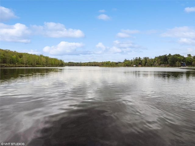 water view featuring a heavily wooded area