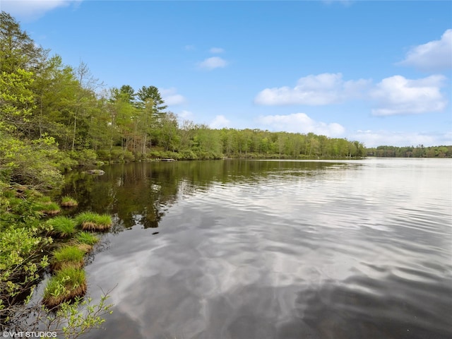 water view with a heavily wooded area