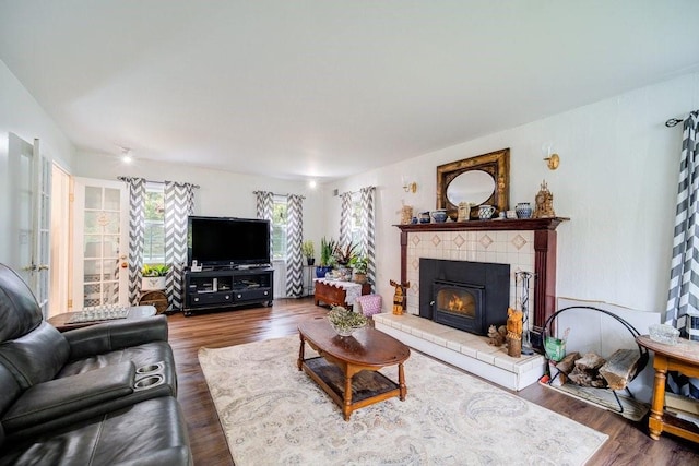 living room featuring a fireplace and dark hardwood / wood-style floors